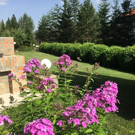 Apartman Zlatibor شقة