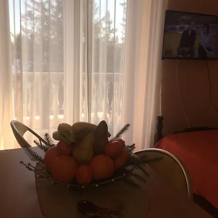 Apartman Zlatibor アパート ズラティボール